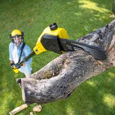 Lawn Grading and Leveling in Valle Vista, CA
