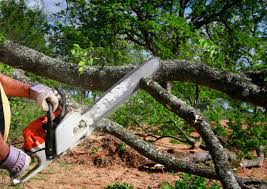 Best Lawn Watering Services  in Valle Vista, CA