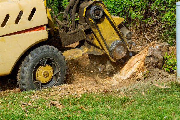 Best Lawn Irrigation Installation and Maintenance  in Valle Vista, CA