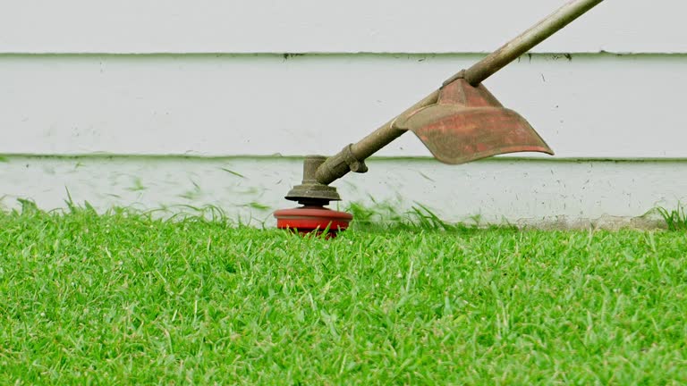 Best Hazardous Tree Removal  in Valle Vista, CA
