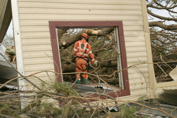 Reliable Valle Vista, CA Tree Services Solutions
