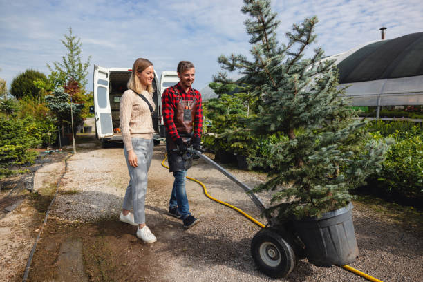 Best Storm Damage Tree Cleanup  in Valle Vista, CA